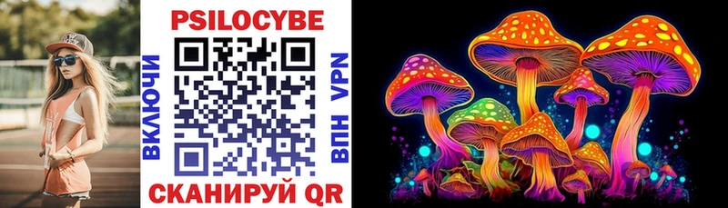 наркошоп Новотитаровская даркнет как зайти Псилоцибиновые грибы Cubensis